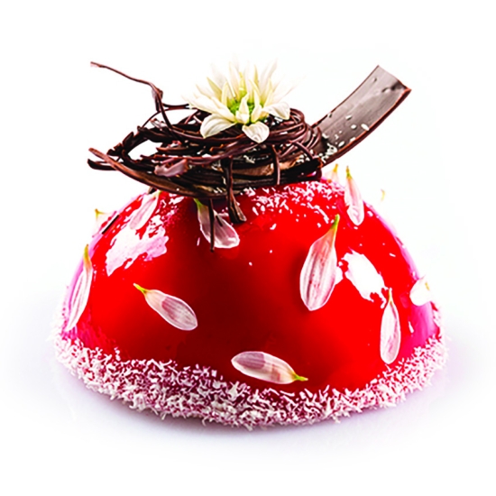 MOULE  SILIKOMART PROFESSIONNEL DEMI SPHERE